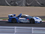 P4184331.jpg