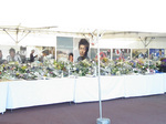 PA210560.jpg