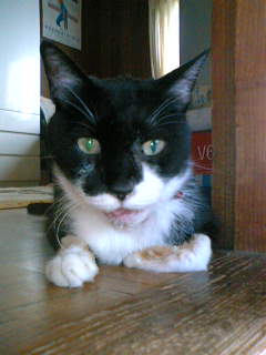image/tae-2006-04-23T19:01:32-1.jpg