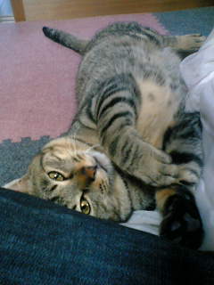 image/tae-2006-04-29T22:42:22-2.jpg